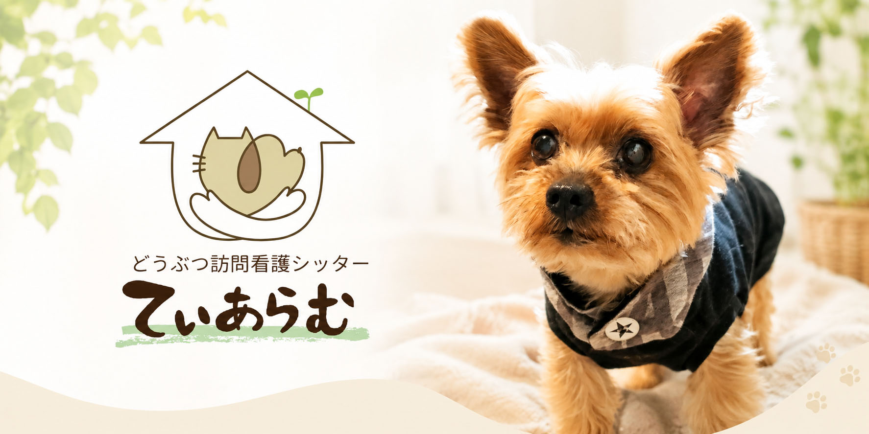 どうぶつ訪問看護シッター てぃあらむ