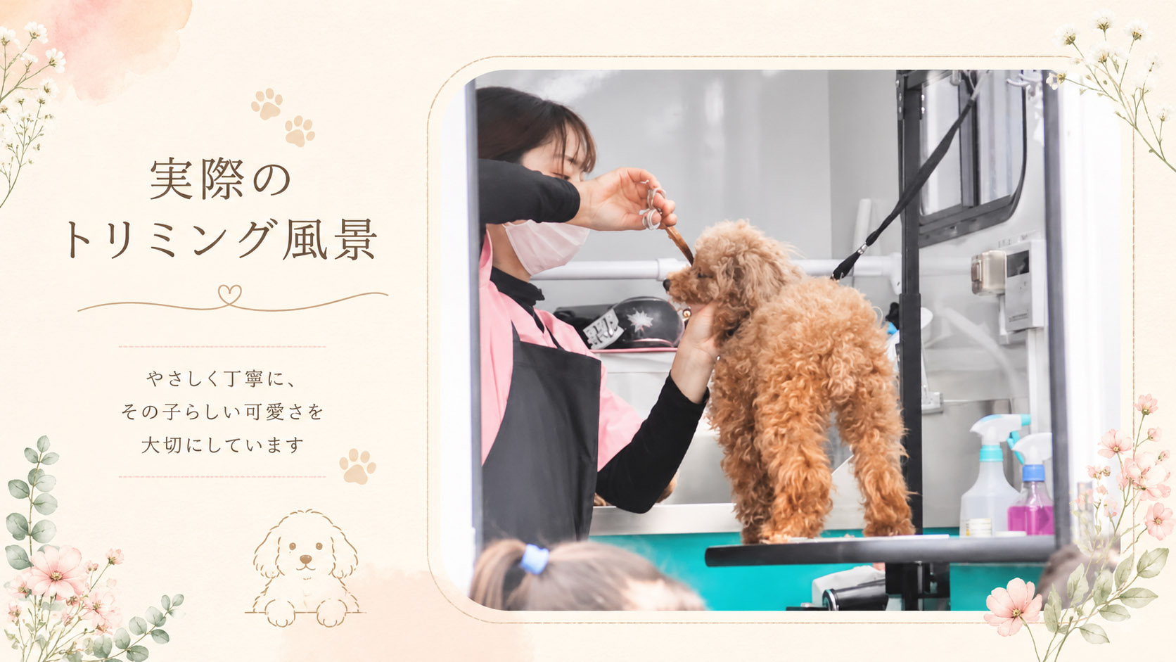 Paw's イベント出店時のトリミング風景