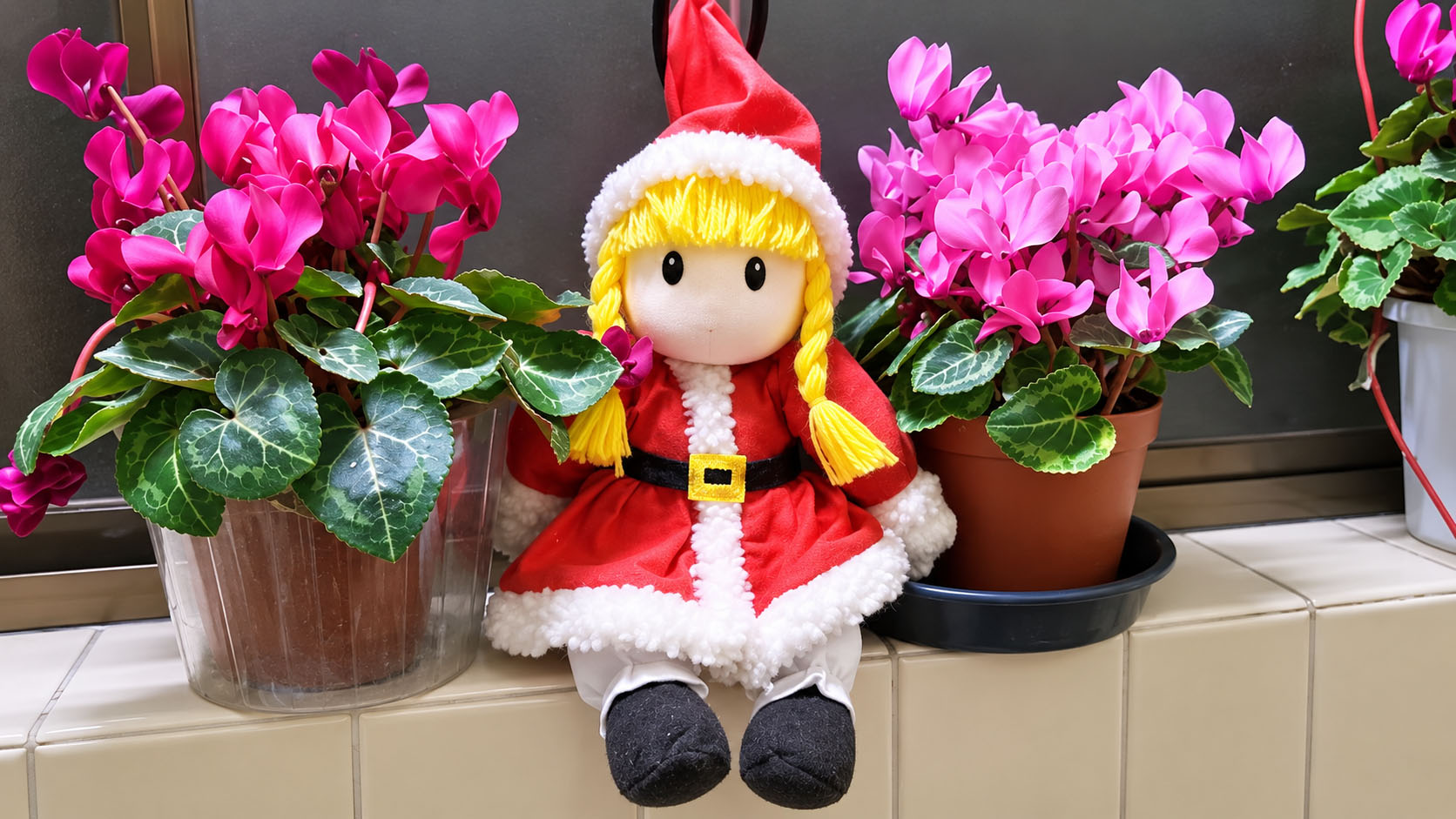 滋賀母と子のいのちを守る会